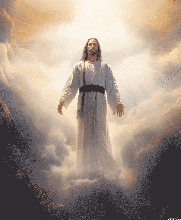 4126bd3f-259e-4d36-a770-1a6d981eb873.gif