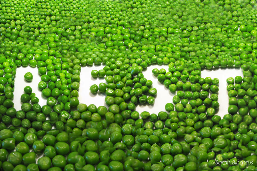 rest_in_peas__by_blueberryblack-d34qjc5.jpg