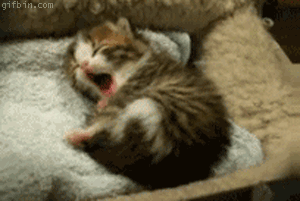 e7MhUdx.gif
