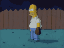 homer-simpson-baseball.gif