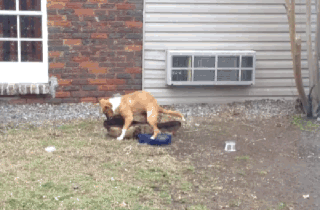 tumblr_mxtfuu2W511t6mcxbo1_400.gif