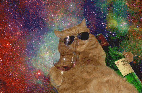 tumblr_lvcty88TBK1r4xjo2o1_500.gif