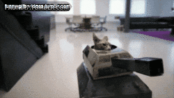 giphy.gif