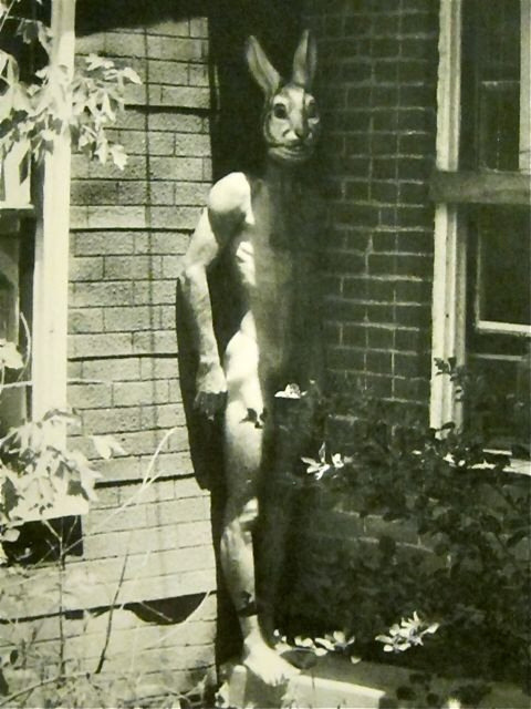 tumblr_ledrnro7bs1qzvmclo1_500.jpg