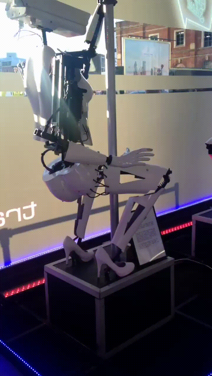 ifn7e8et3r101.gif