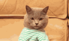 tenor.gif