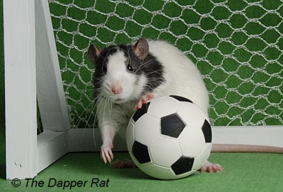 c124soccer1.jpg