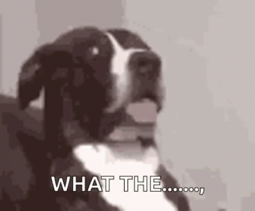 pup-puppy.gif