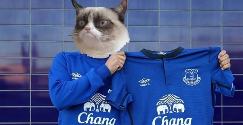 GrumpyCatEFC_zpsxq8slmo0.jpg