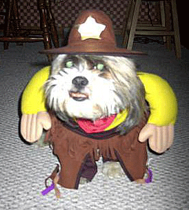 sheriff.png