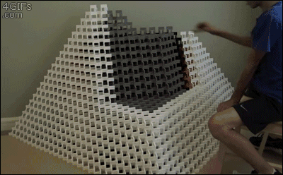 tumblr_niwaaaNOrh1s391qwo1_400.gif