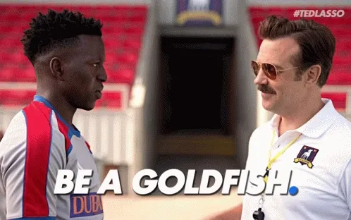 b0XZj.gif