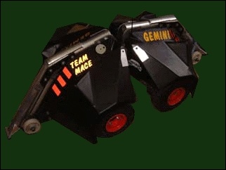 Gemini.jpg