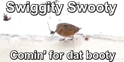 swsw.gif