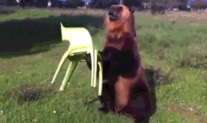 BWJ8ByX.gif