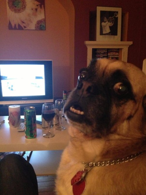 tumblr_mlasnggpMj1ql2603o1_500.jpg