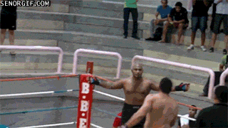 giphy.gif