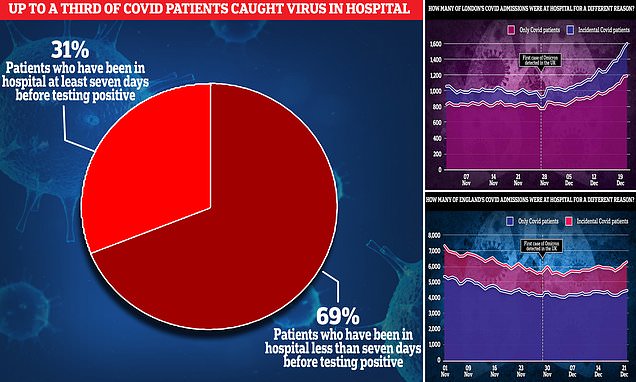 www.dailymail.co.uk