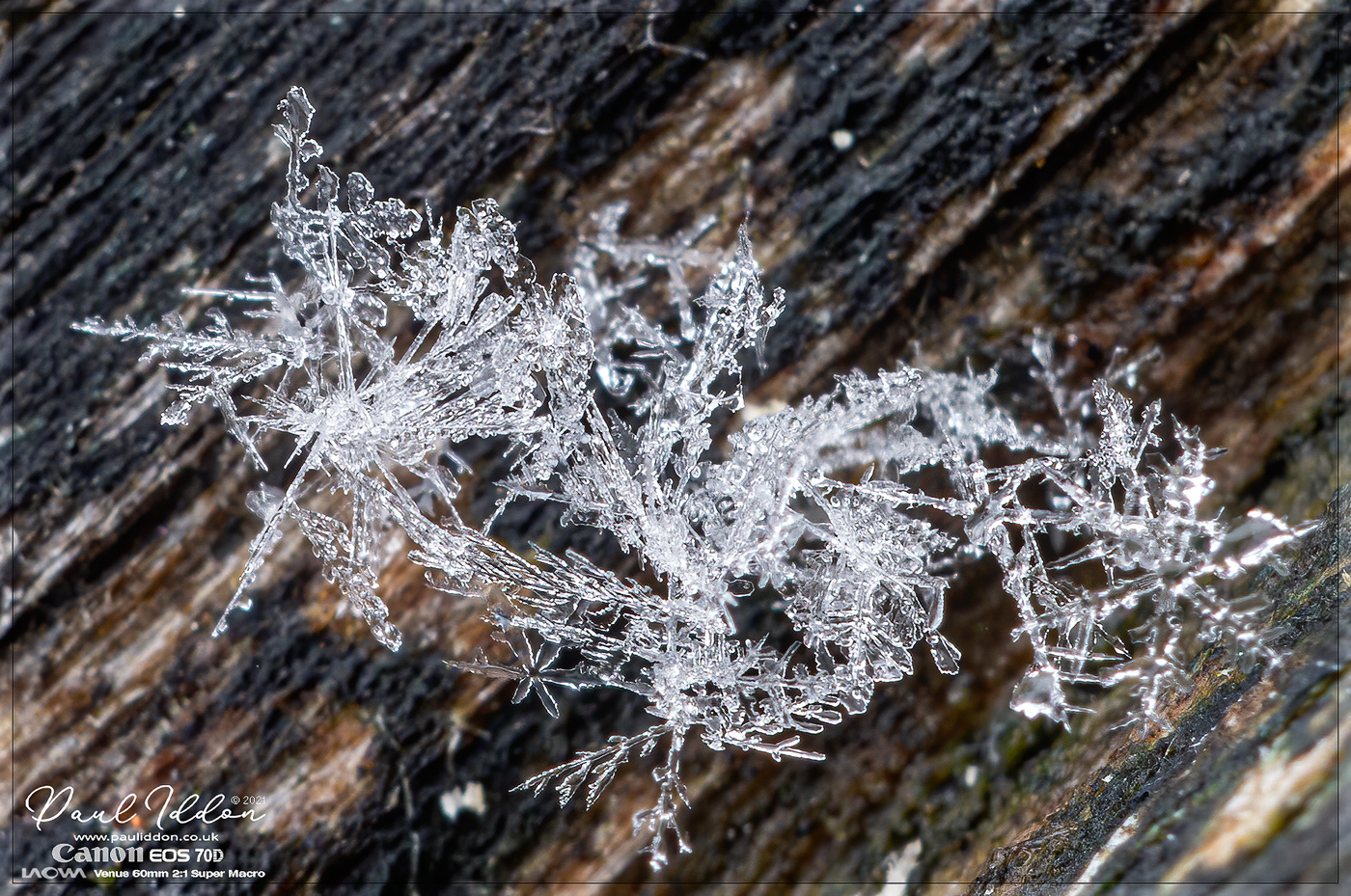snow01_1400.jpg