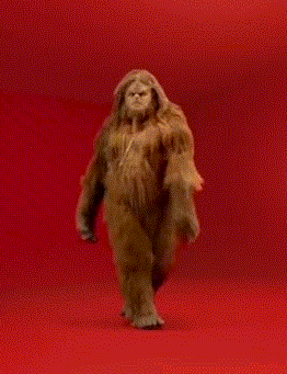 tumblr_o14z2d19Wq1t95h1uo1_400.gif