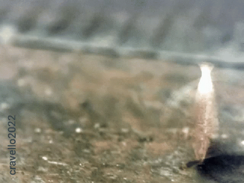 tuppence-coin-flip.gif