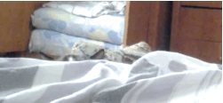 E7O2j3r.gif