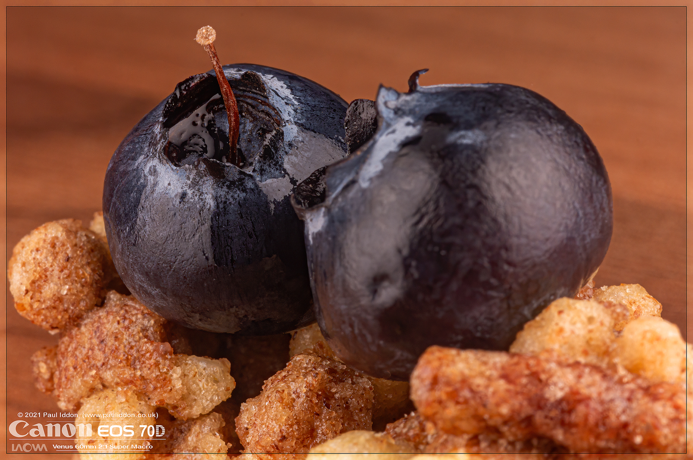 blueberry09b.jpg