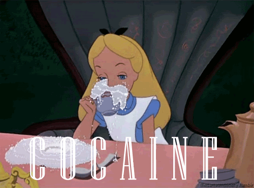 tumblr_n16fbcsuTZ1tt682so6_500.gif