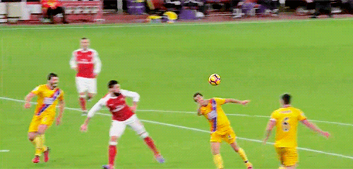 tumblr_oj418pTw141r6ibubo1_500.gif