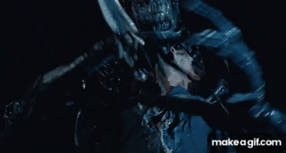 tTMTk9.gif