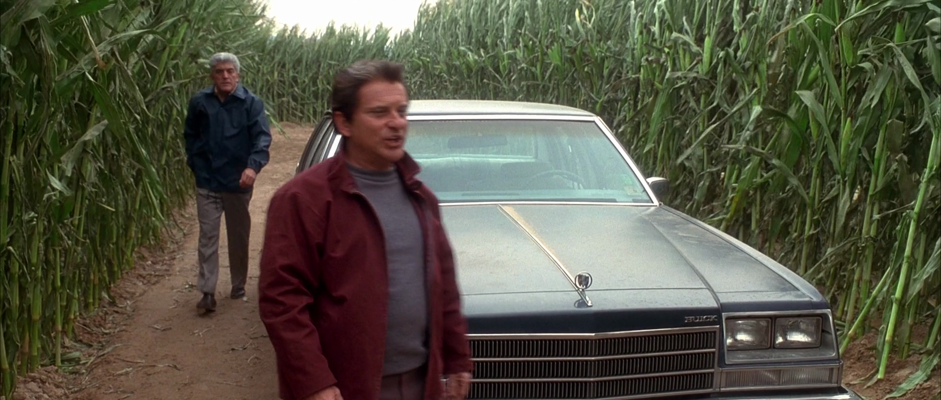 casino-cornfield.png