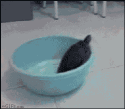 tumblr_mclba8dIwH1rg87voo1_250.gif