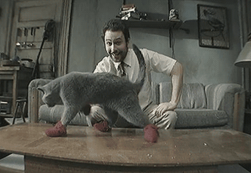 tumblr_mg2rskpZRC1s2s30jo1_500.gif