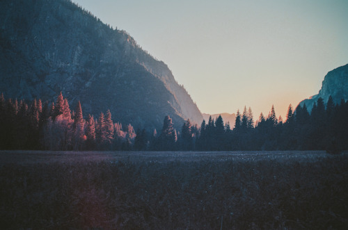 tumblr_my4u7vrVOm1s5qhggo3_500.jpg