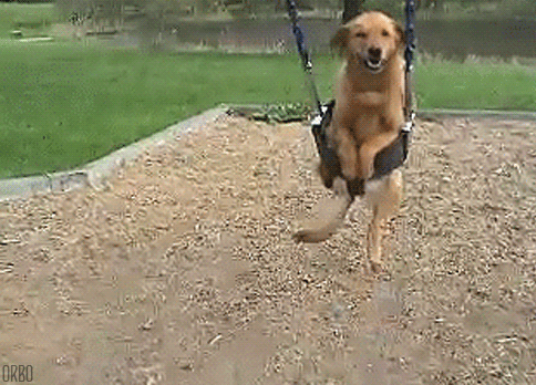 CIDbFq6.gif