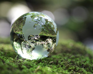 www.globalelr.com
