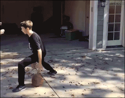 giphy.gif