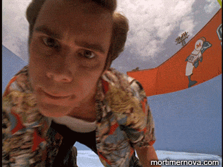 paim69q.gif