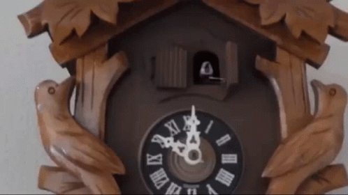 cookoo-clock-cuckoo-clock.gif
