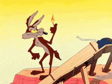 wile-coyote.gif