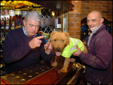_45191914_hattythedog2262dp.gif