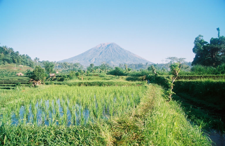 tirta.agung.jpg