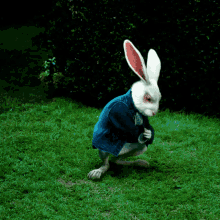 rabbit-alice-in-wonderland.gif