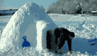 iglooclimb1.gif