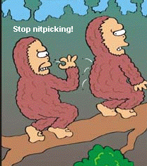 noNitpicking.gif