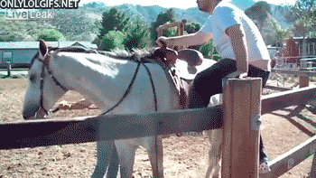 9ahx.gif