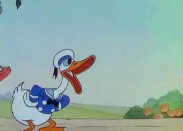 lGUPnuX.gif