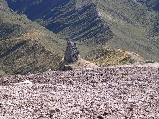 DSCN9930.jpg