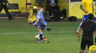 313.gif