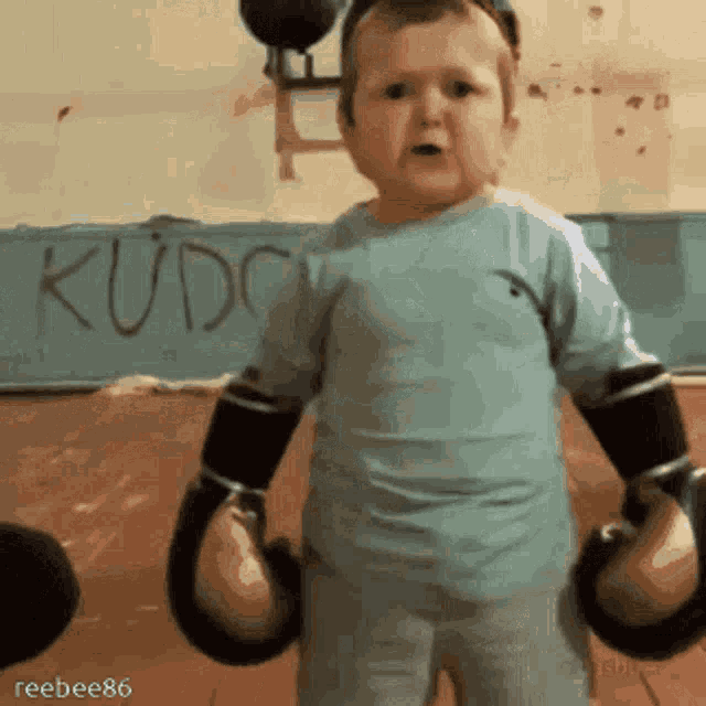 has-bulla.gif